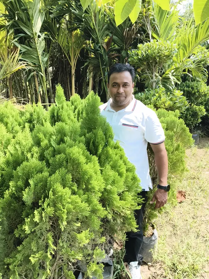 Beside a conifer shrub at LEAFFLIX Nursery