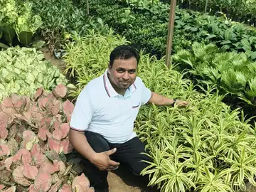 Ornamental foliage plants under a shade net