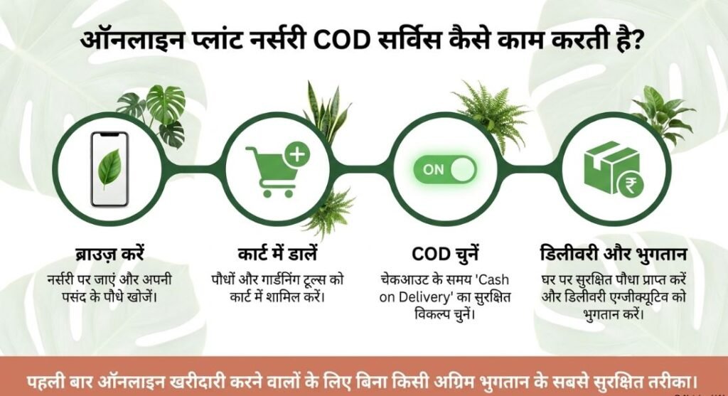 Online Plant Nursery Cash on delivery
